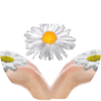 siralama