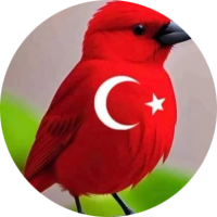 siralama